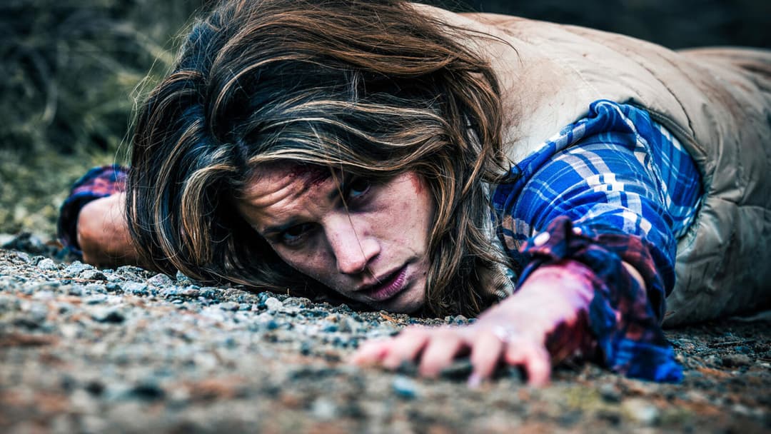 Backcountry backdrop 6