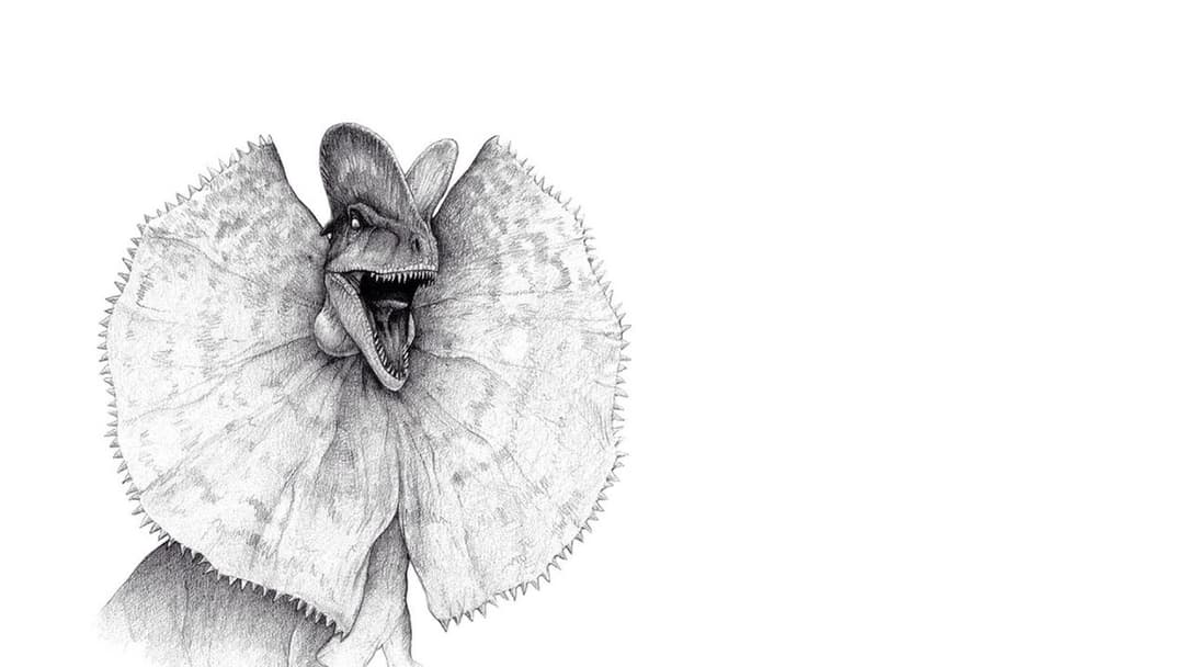 Jurassic Park backdrop 19