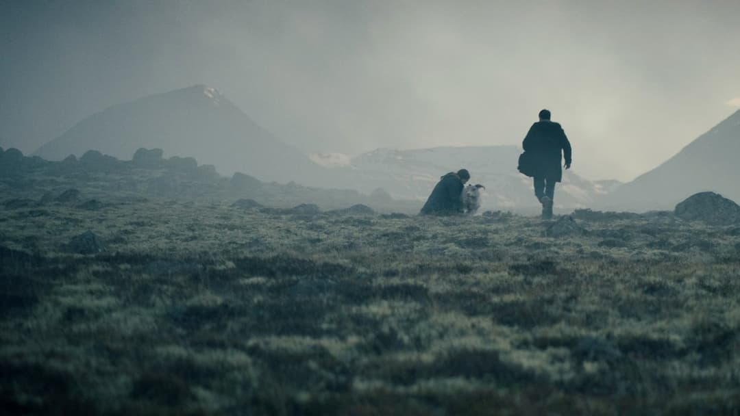 Агнець backdrop 4