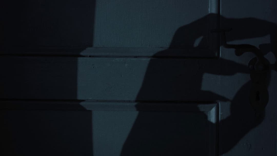 Nosferatu - Der Untote backdrop 20