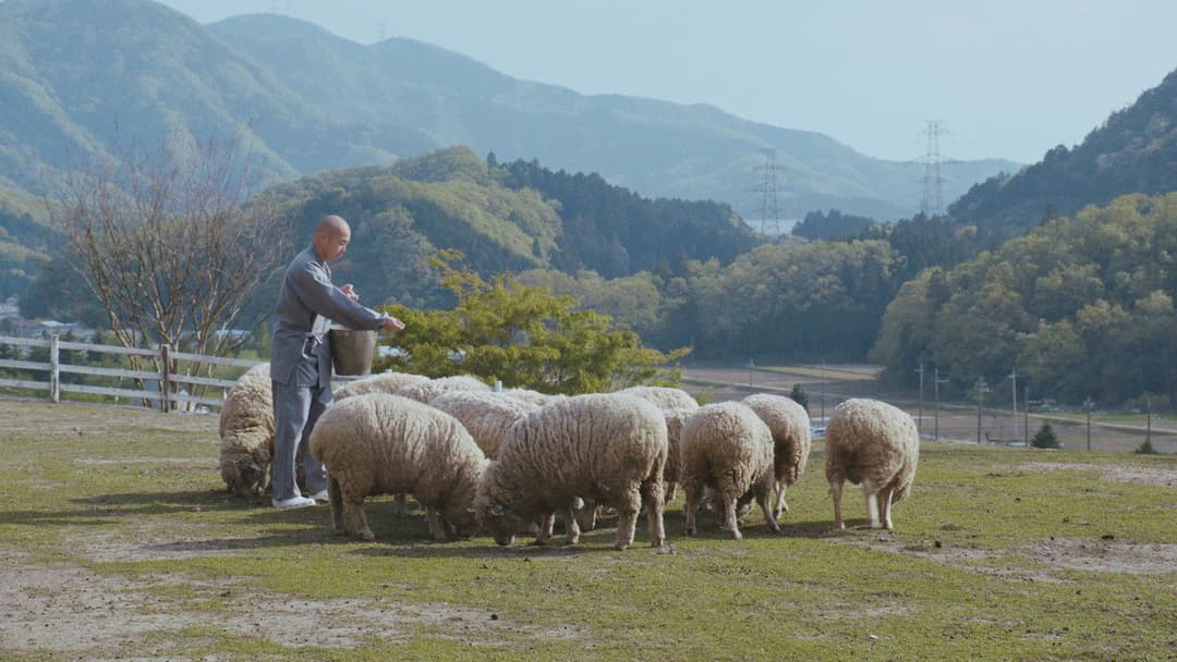 Crows Are White backdrop 3