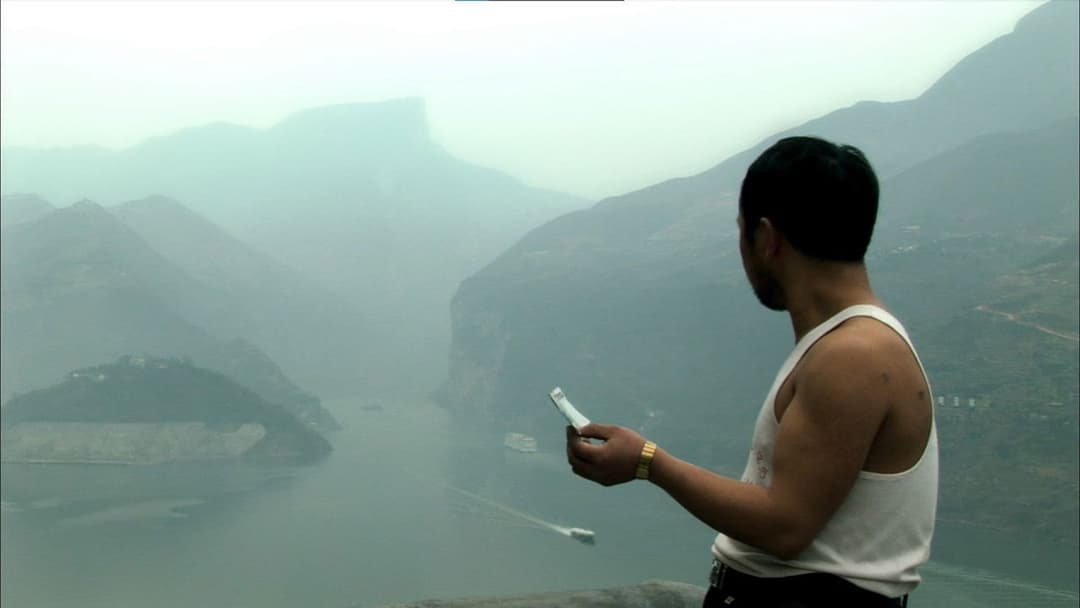 Still Life backdrop 4