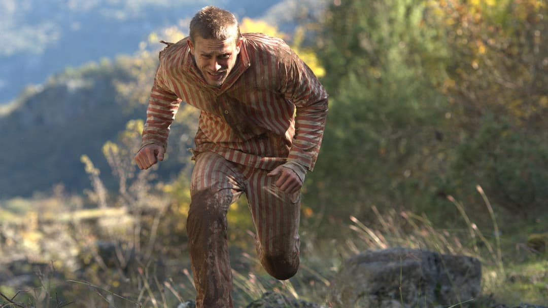 Метелик backdrop 11