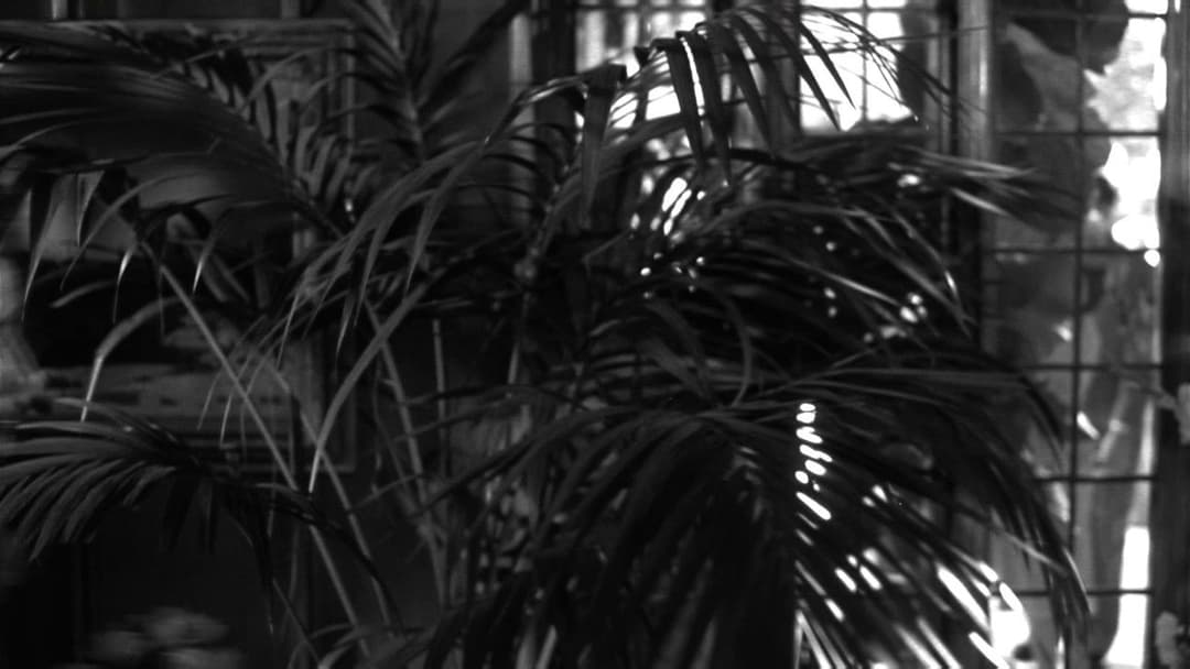 Dead Again backdrop 14