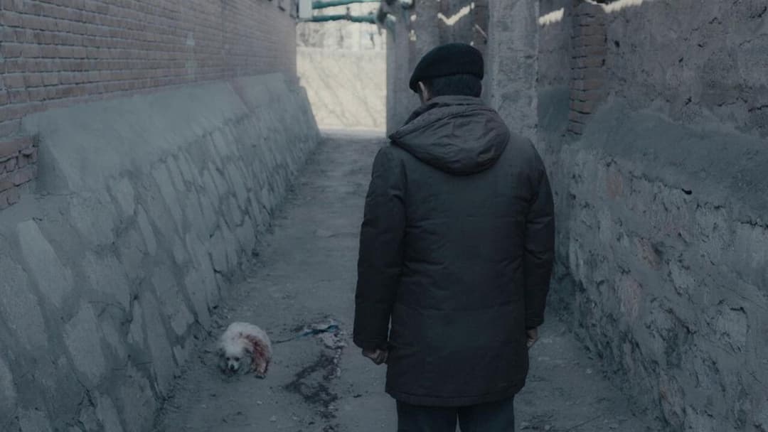 An Elephant Sitting Still backdrop 13