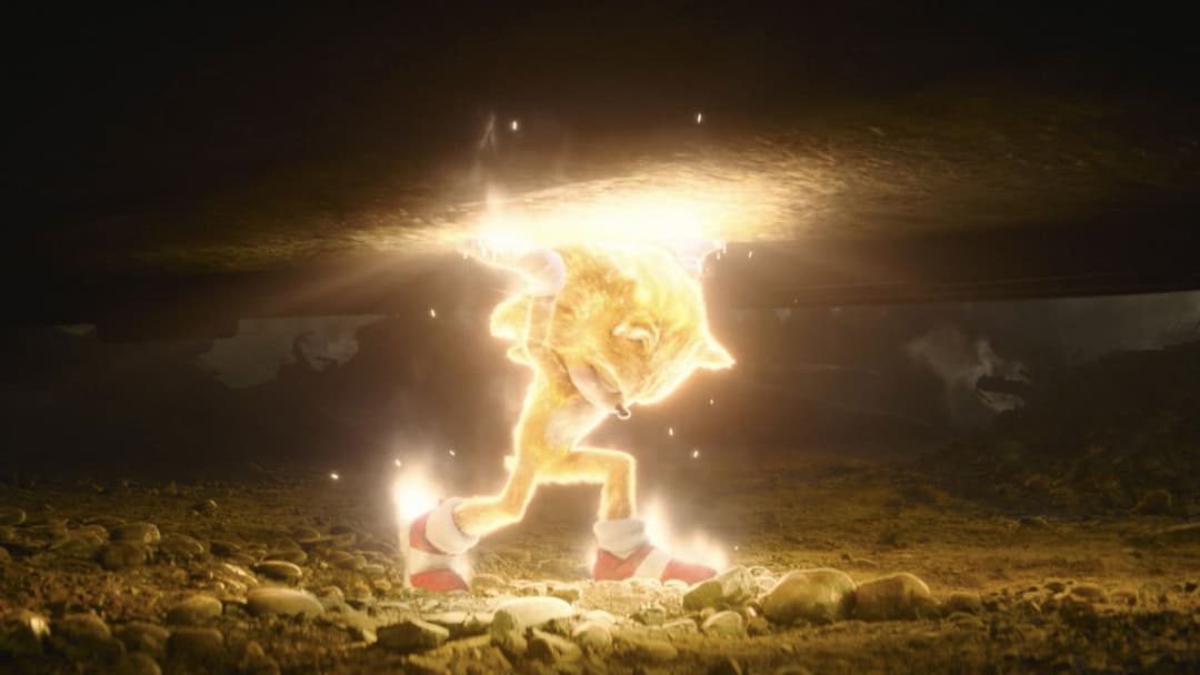 Sonic the Hedgehog 2 backdrop 9