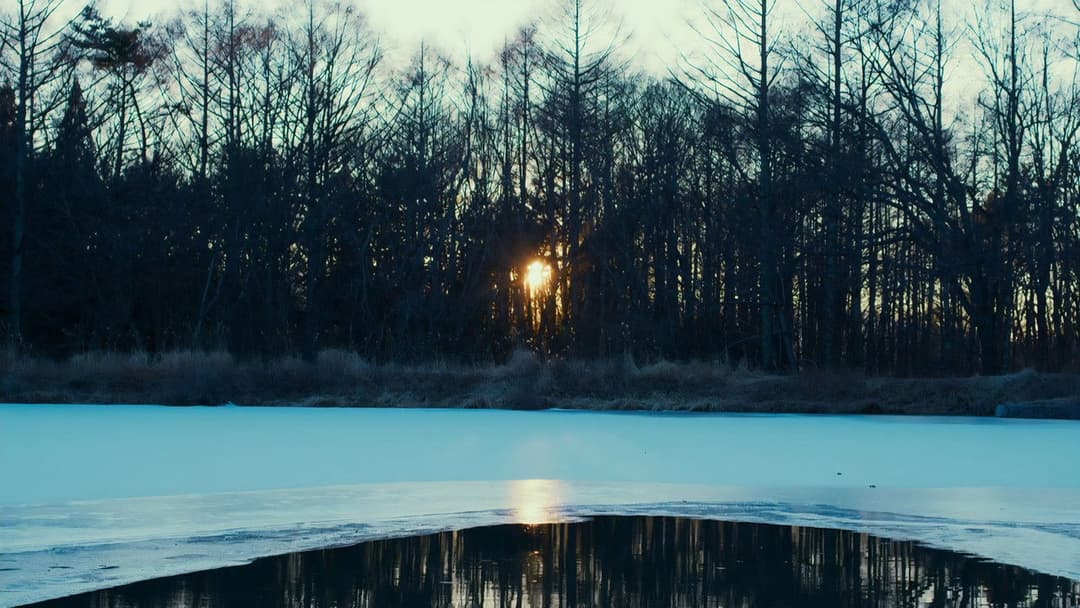 Зла не існує backdrop 8