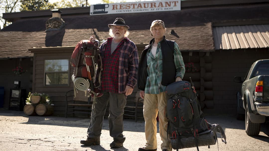 Picknick mit Bären backdrop 13