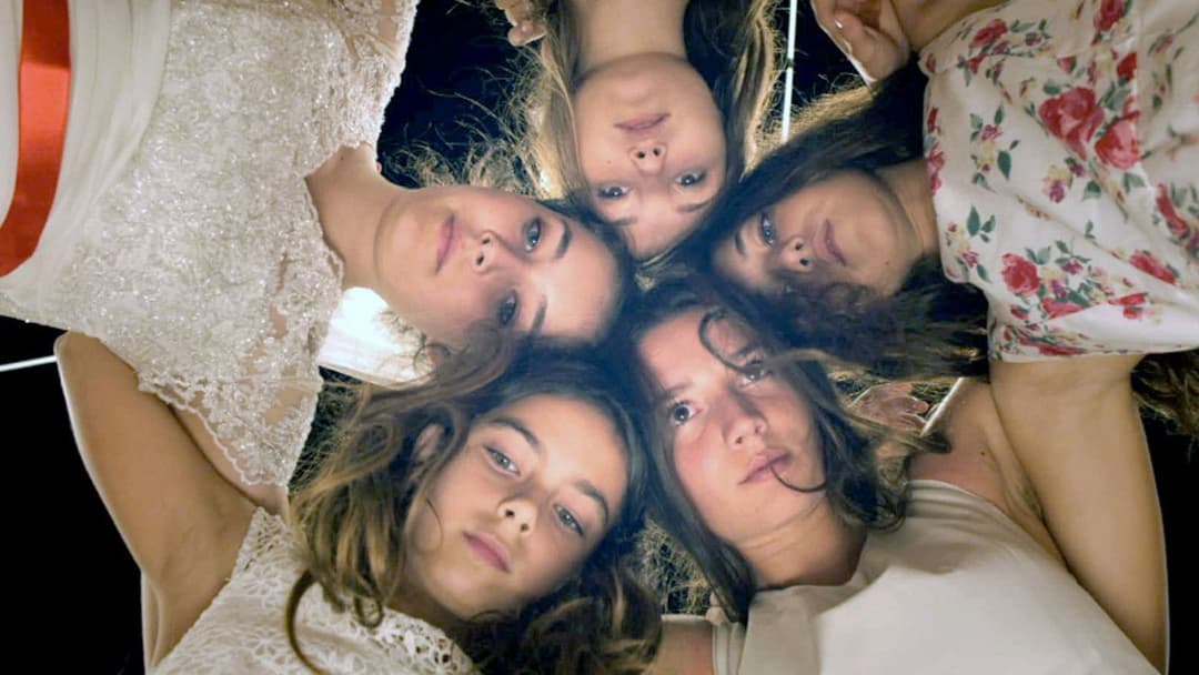 Мустанг backdrop 19