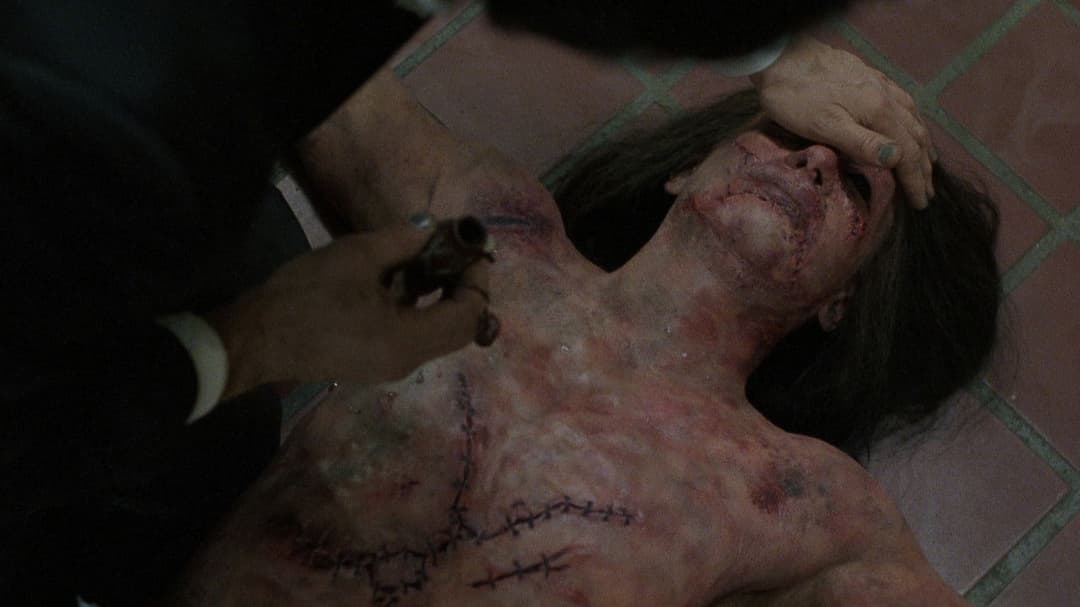 The Prophecy backdrop 6