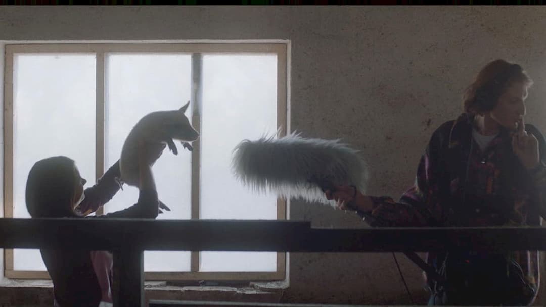 Der Tierstimmensammler oder Das Lied der Scheuen Stockente backdrop 10