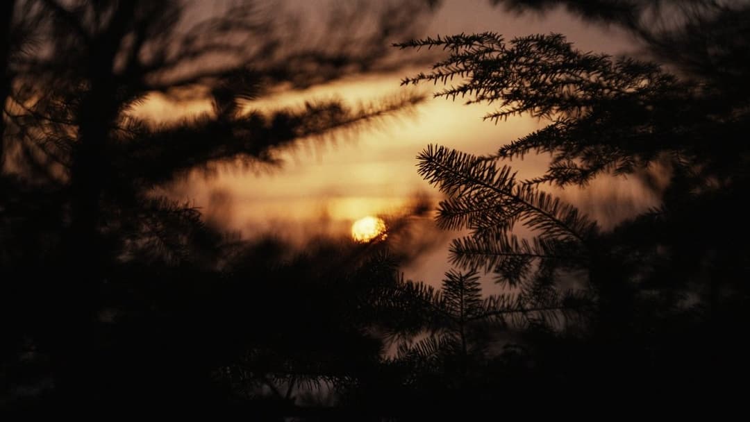 Das Andere backdrop 8