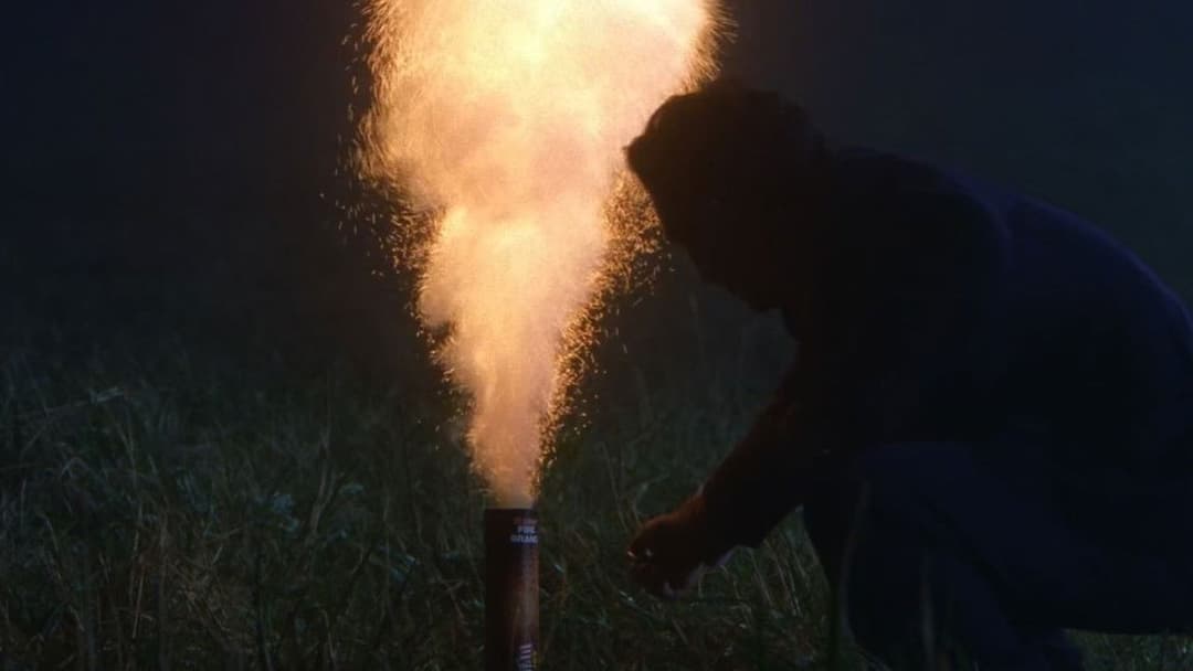 Hana-bi - Feuerblume backdrop 11