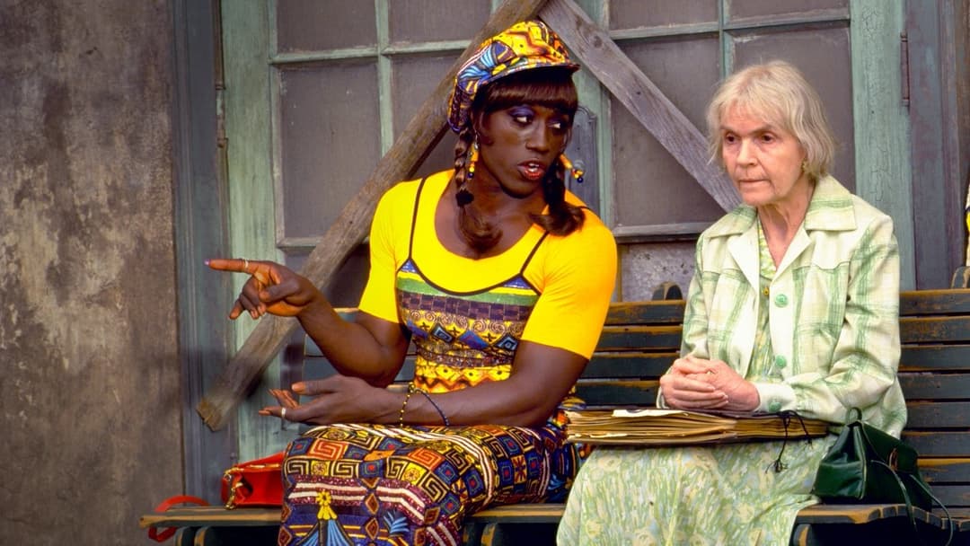 Вонг Фу. З подякою за все, від Джулії Ньюмар backdrop 16