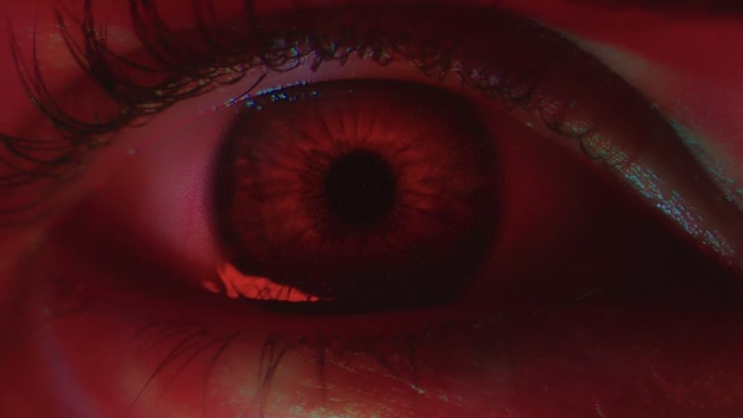 Underwater backdrop 12