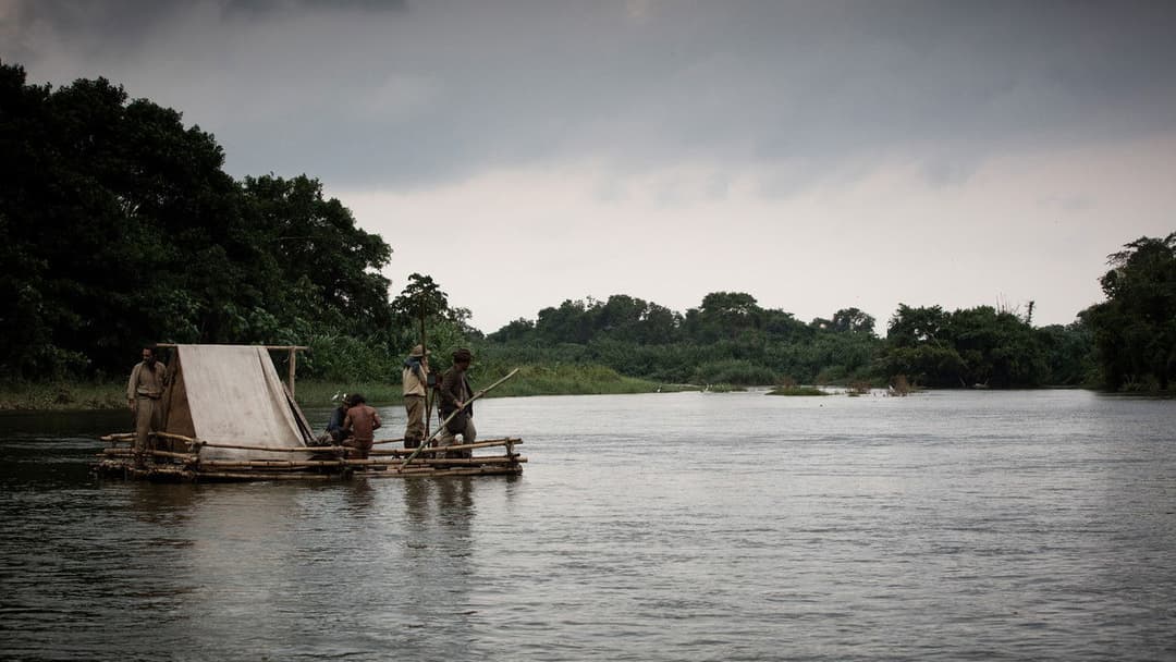 Загублене місто Z backdrop 19