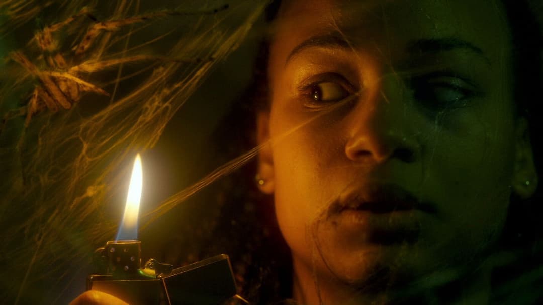 Павуче лігво backdrop 7