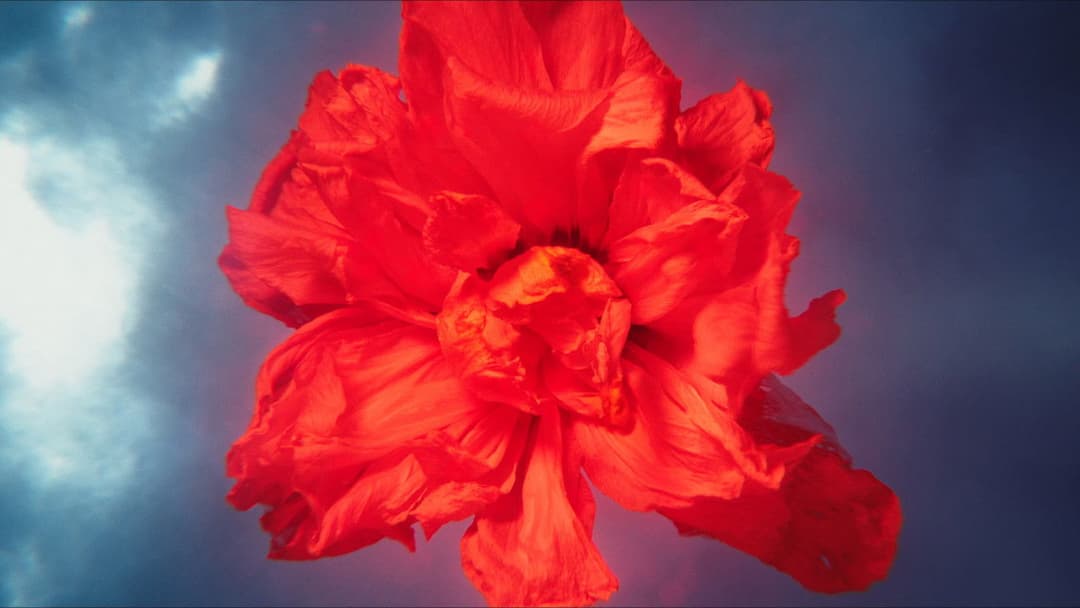 Megalopolis backdrop 10