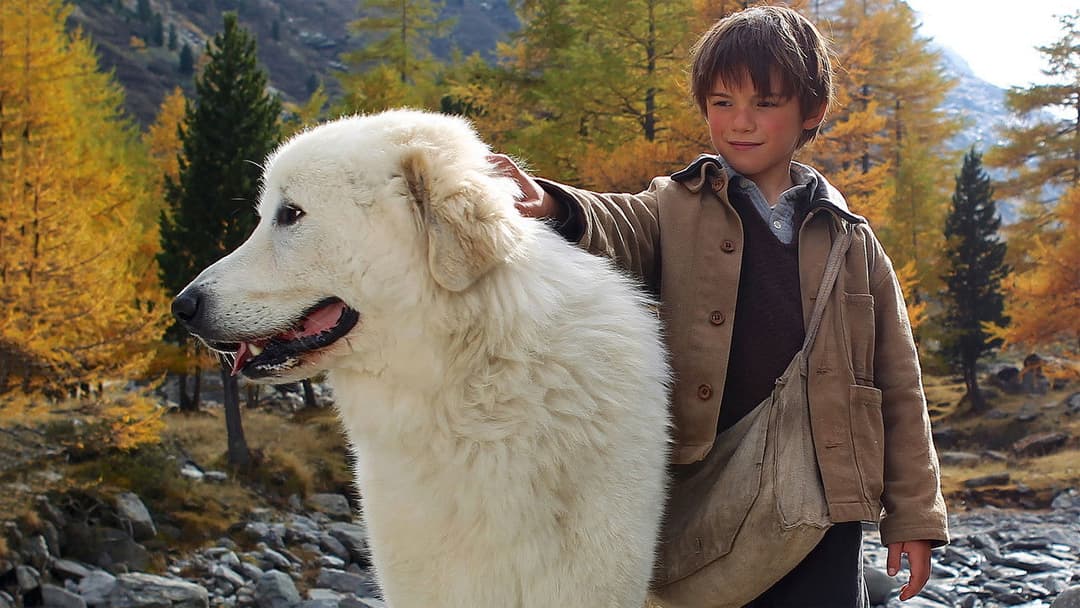 Belle and Sebastian backdrop 1