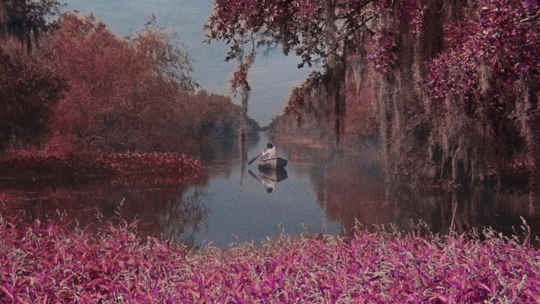 Blue Bayou backdrop 5