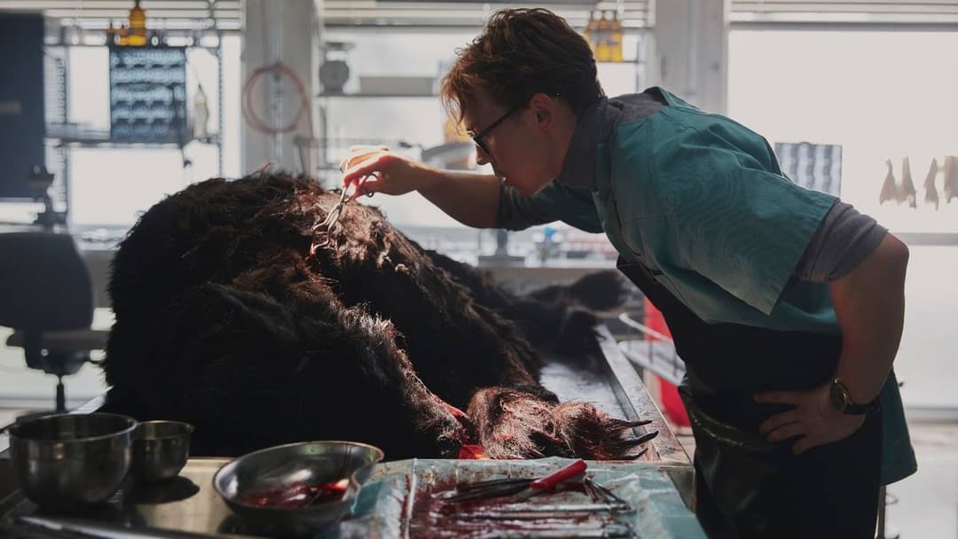 Viking Wolf backdrop 18