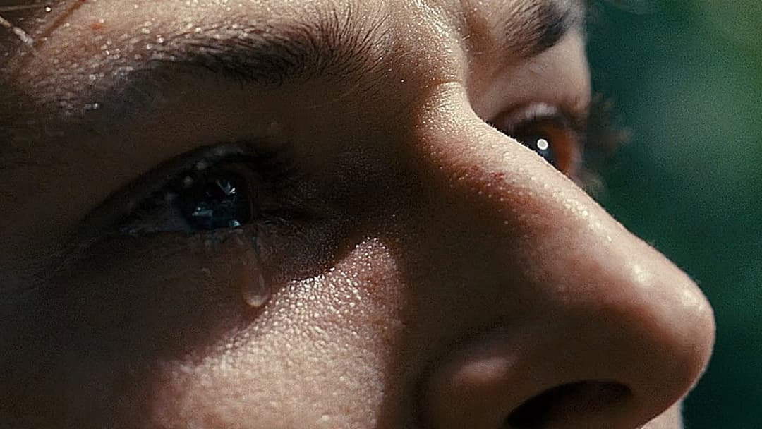 It's Only the End of the World backdrop 17