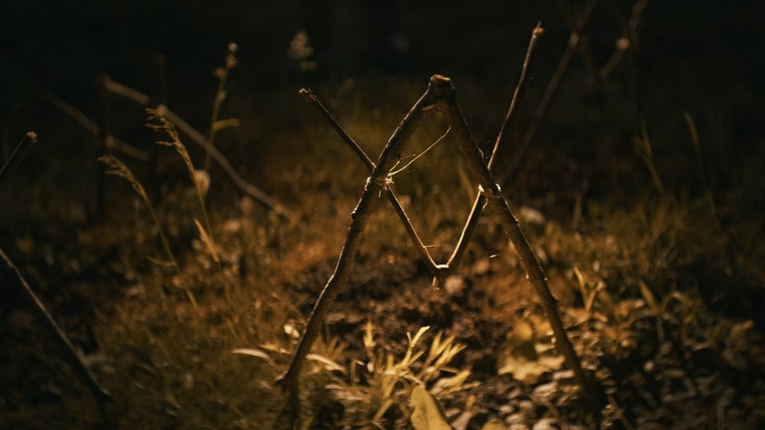 Shelby Oaks backdrop 3