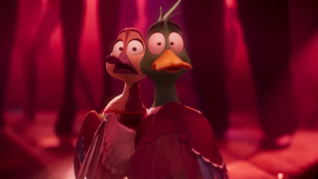 Переліт backdrop 16