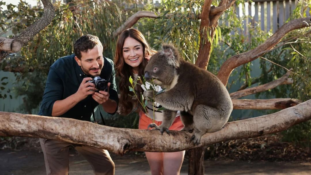 A Melbourne Match backdrop 2