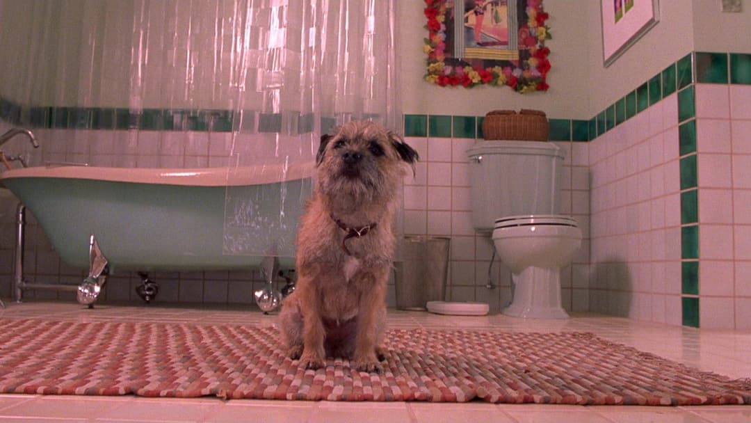 There's Something About Mary backdrop 16