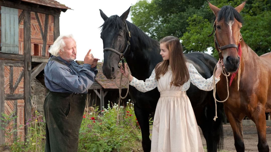 War Horse backdrop 5