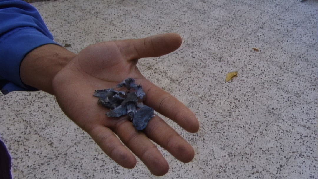 With Hasan in Gaza backdrop 9