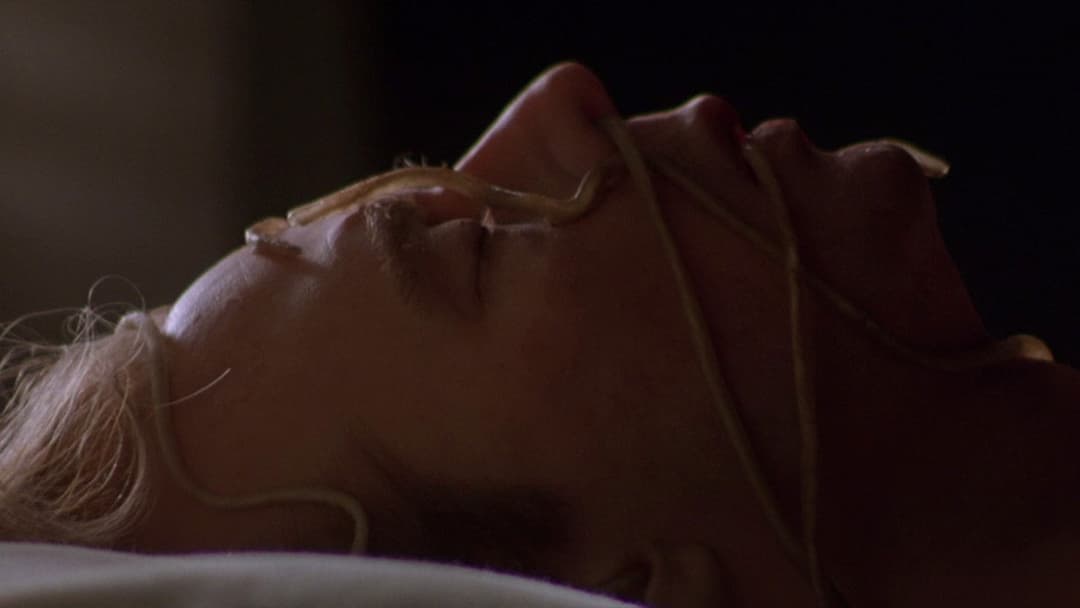 Викрадачі тіл backdrop 6