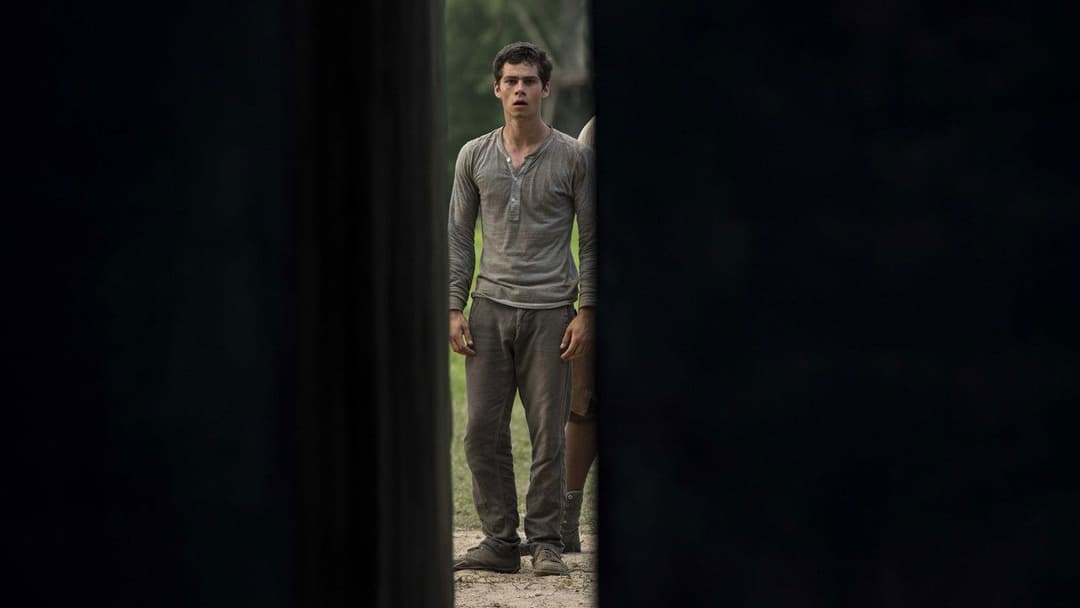 The Maze Runner backdrop 12