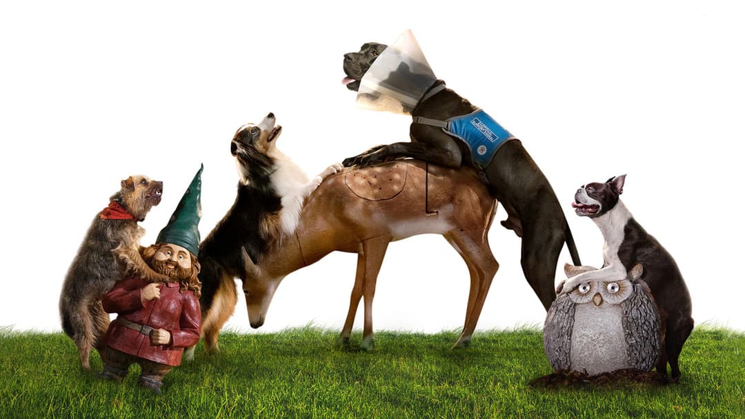 Doggy Style backdrop 2