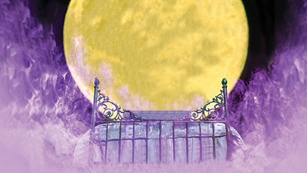 Die Rückkehr der vergessenen Freunde backdrop 2