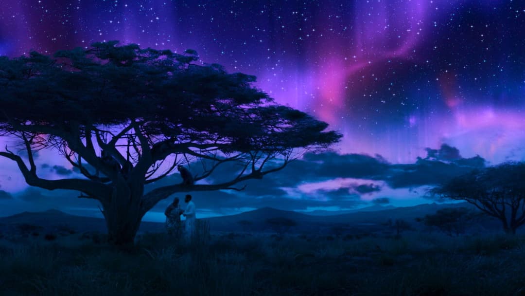 Black Panther backdrop 9