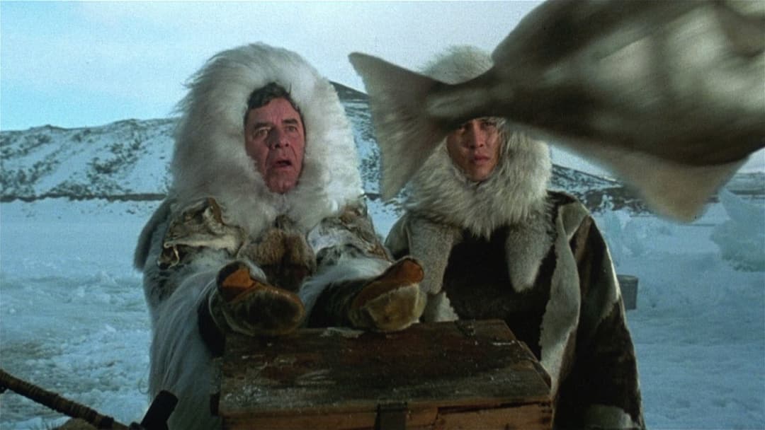 Arizona Dream backdrop 13