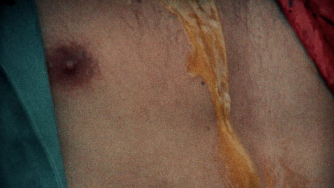 Dressed to's Song of Songs backdrop 6