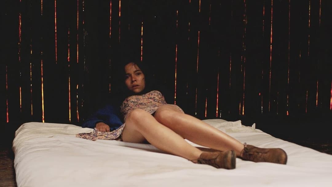 Дикий регіон backdrop 4