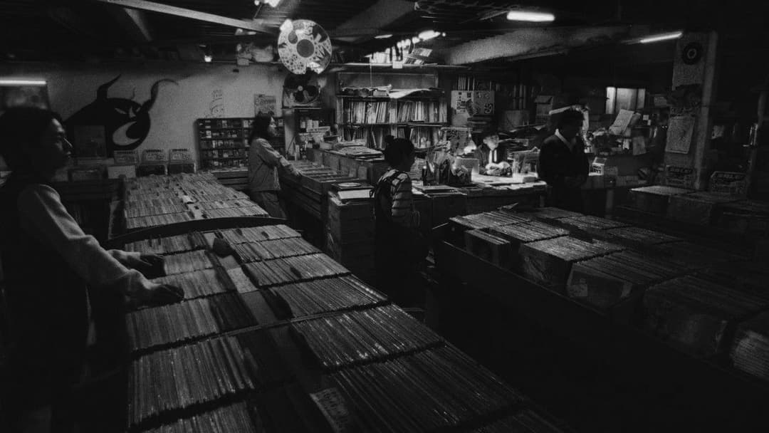 Perfect Days backdrop 4