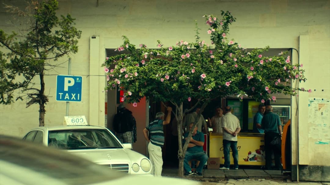 What Do We See When We Look at the Sky? backdrop 12