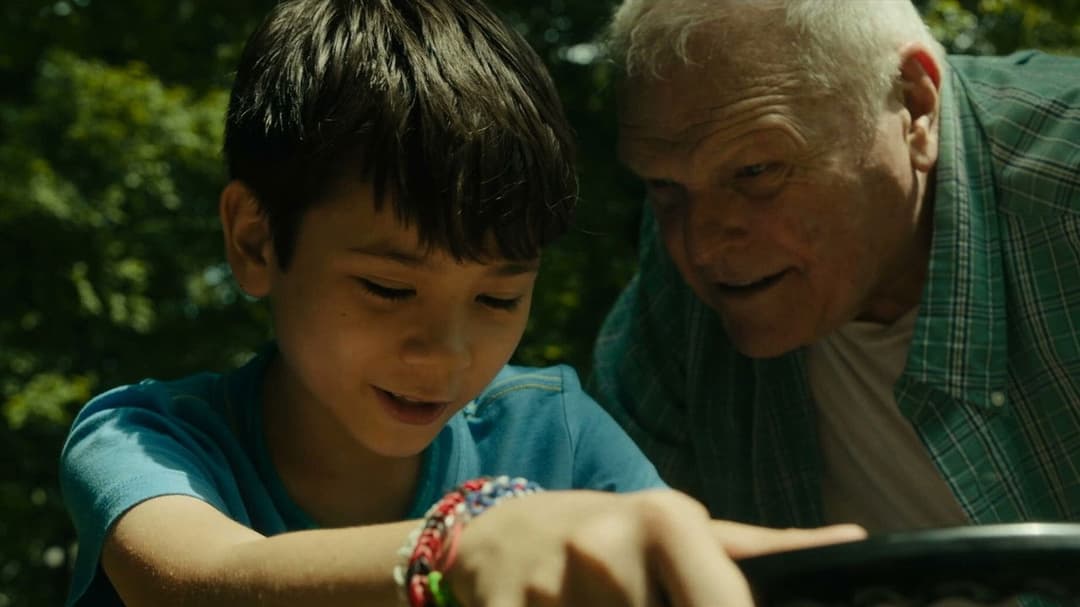 Driveways backdrop 9