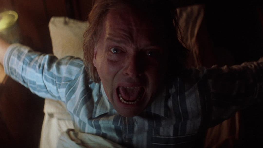 Guest House Paradiso backdrop 1