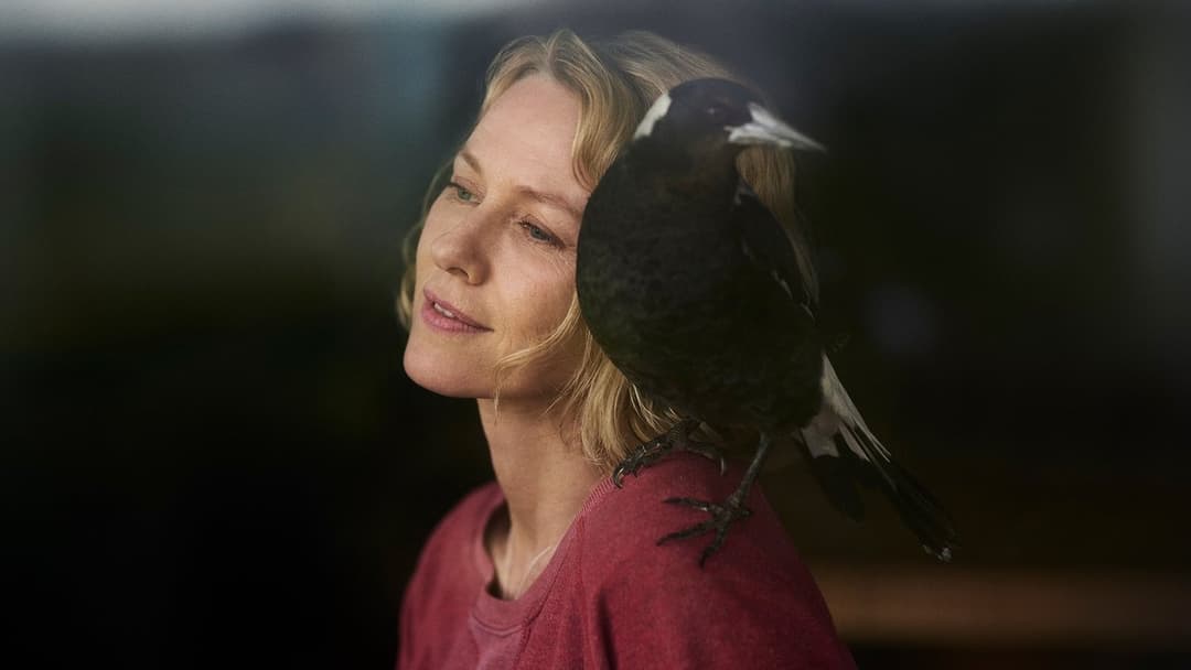 Пінгвін Блюм