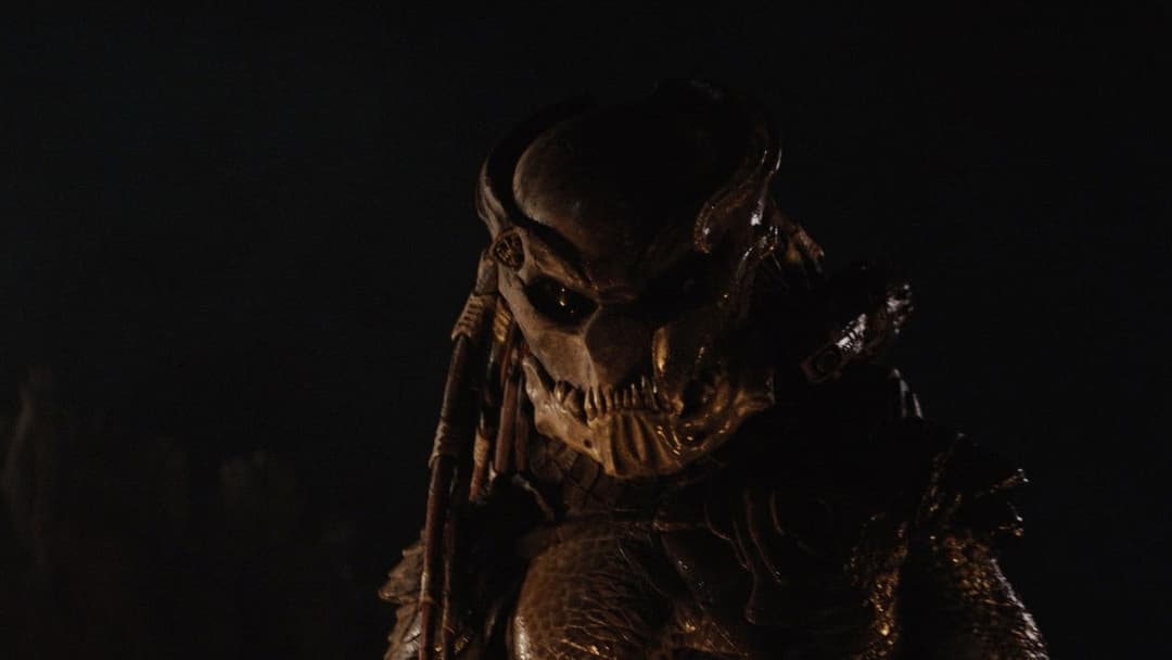 Predators backdrop 15