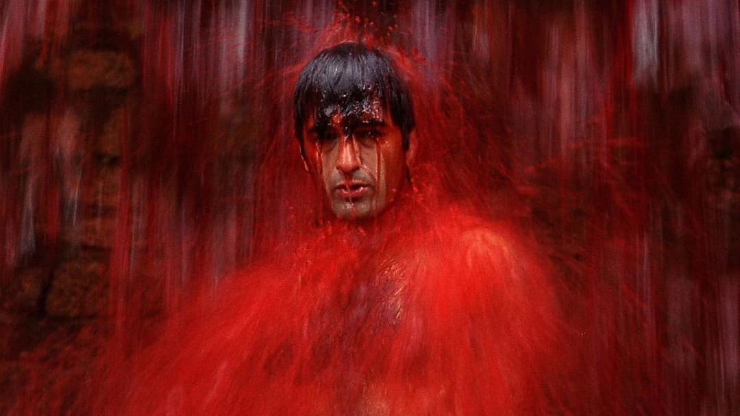 Neighboring Sounds backdrop 4