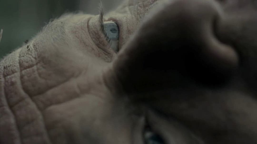 Tyrannosaur - Eine Liebesgeschichte backdrop 4