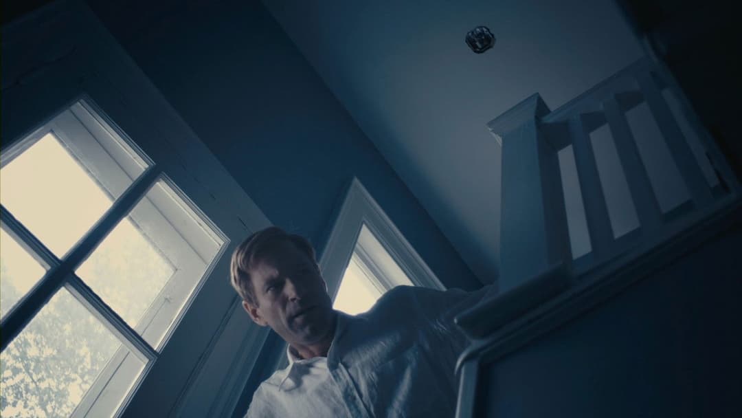 Rabbit Hole backdrop 13