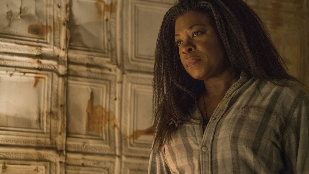 Швидкий колір backdrop 14